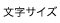 文字サイズを変更する