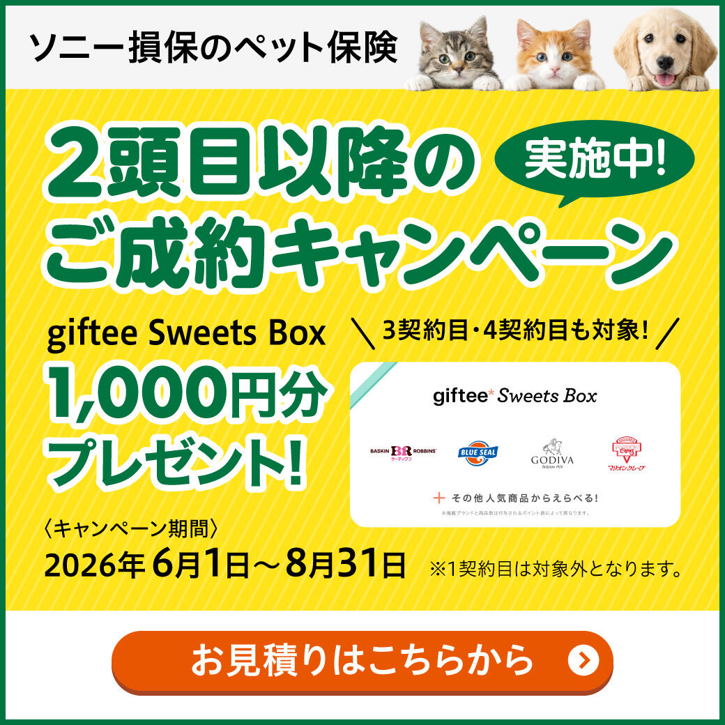 ペット保険_2頭目以降のご成約CPNバナー