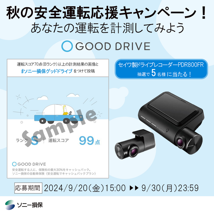 banner_gooddrive.png